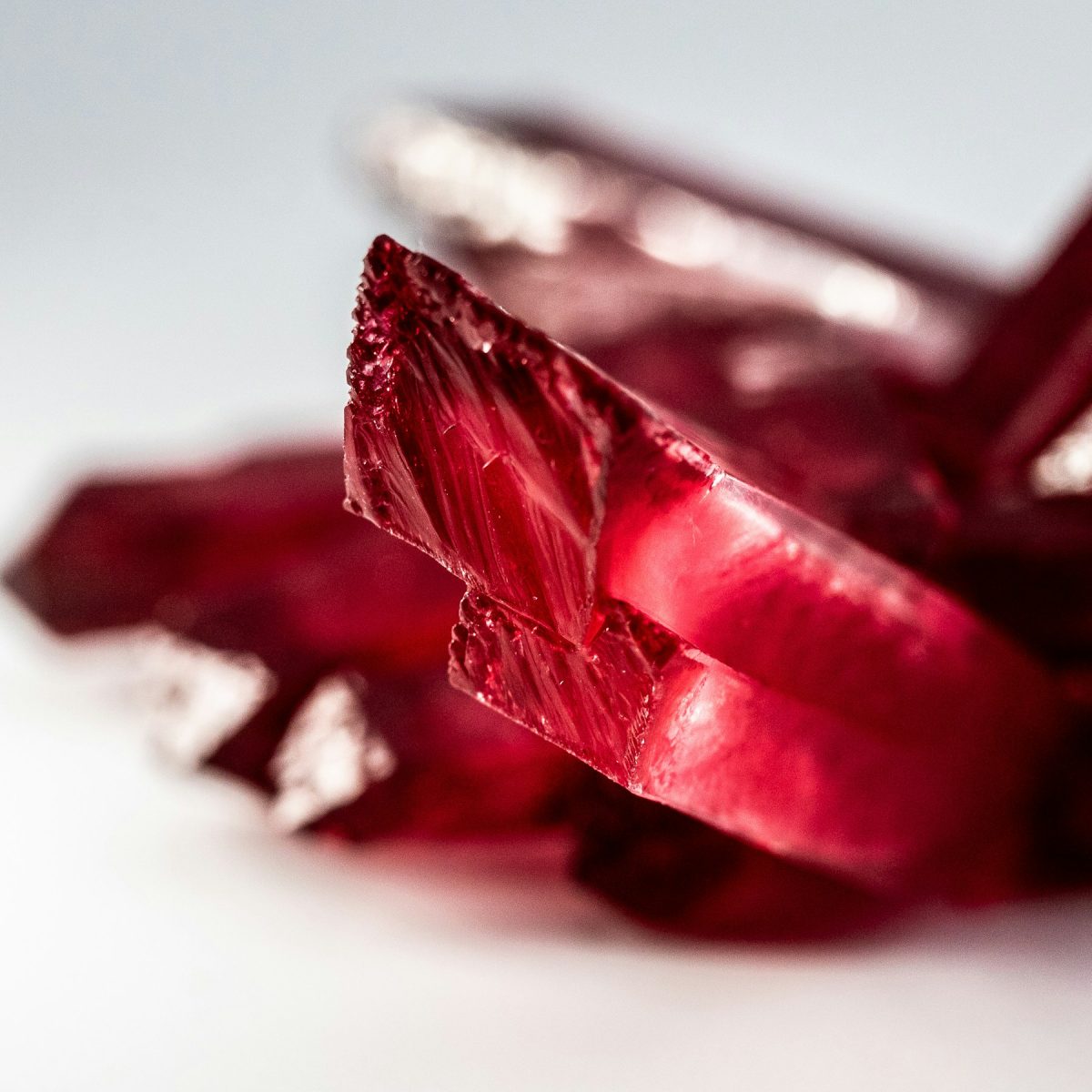 Spinello rosso